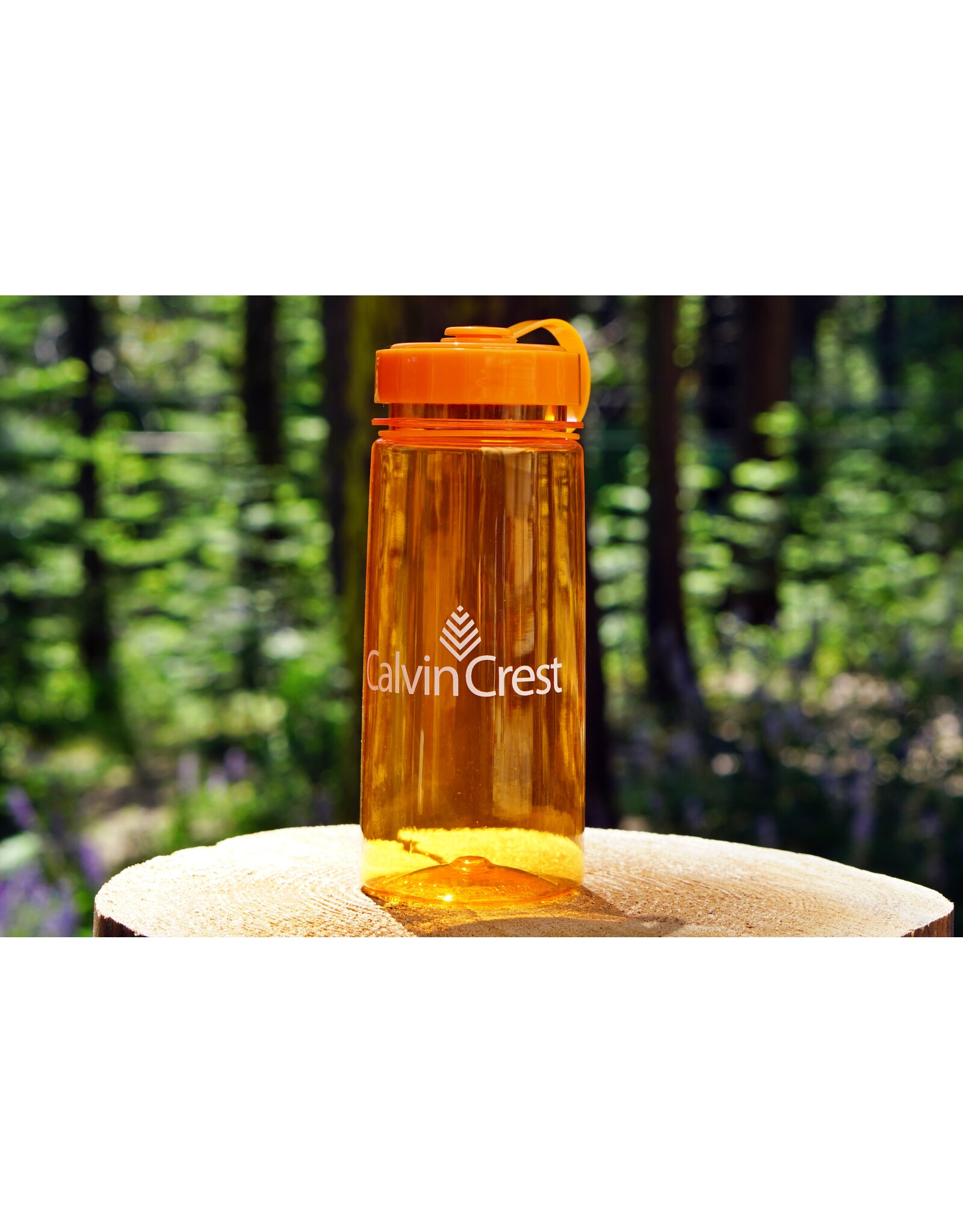 Tritan Water Bottle