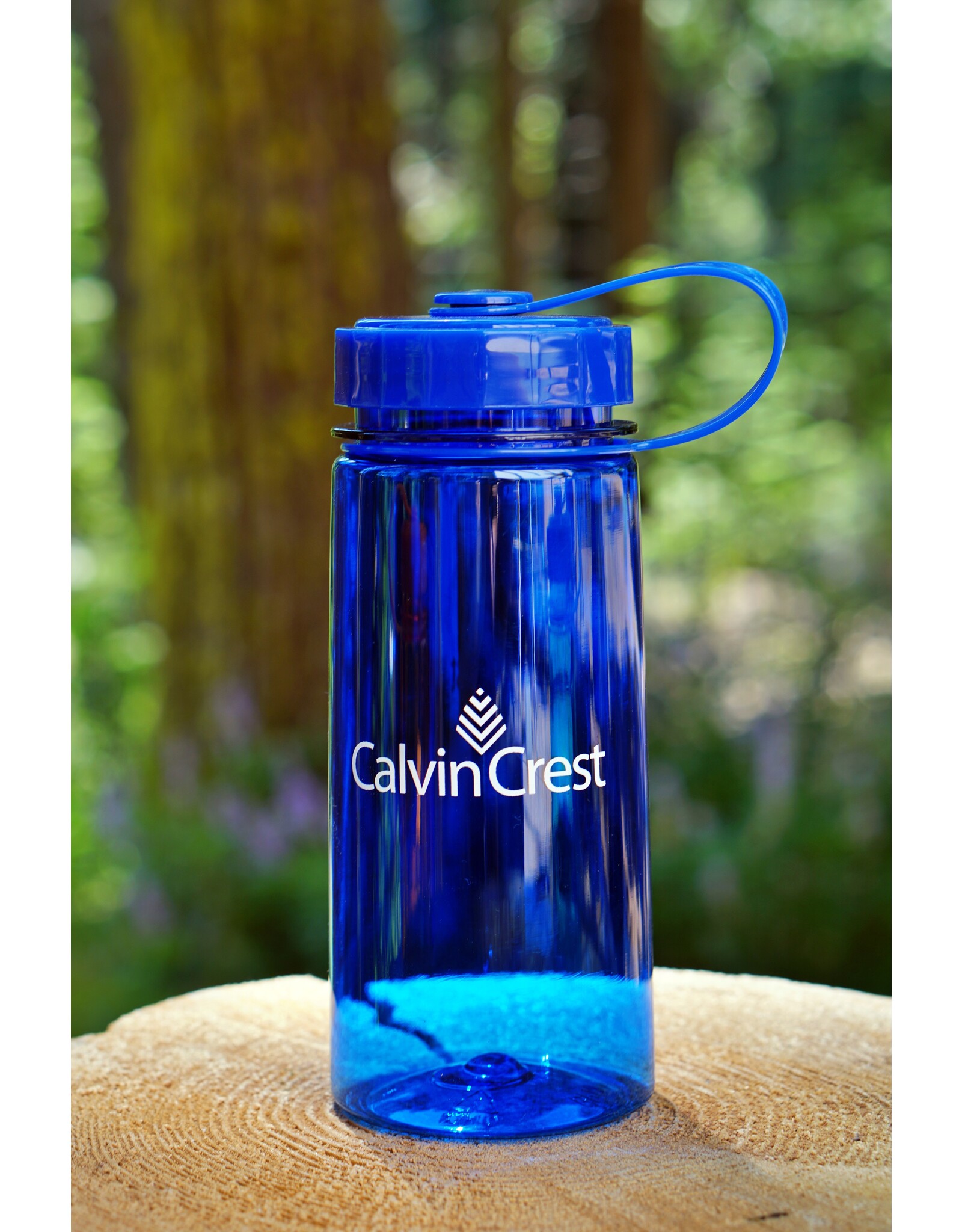 Tritan Water Bottle