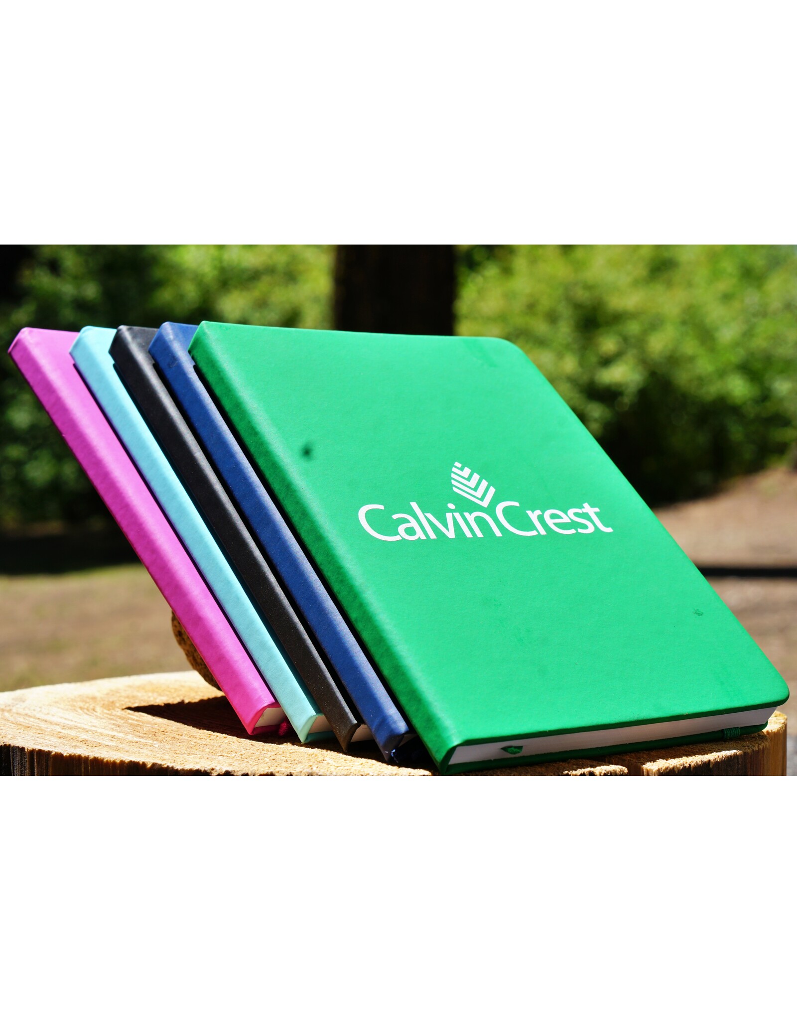 Journal