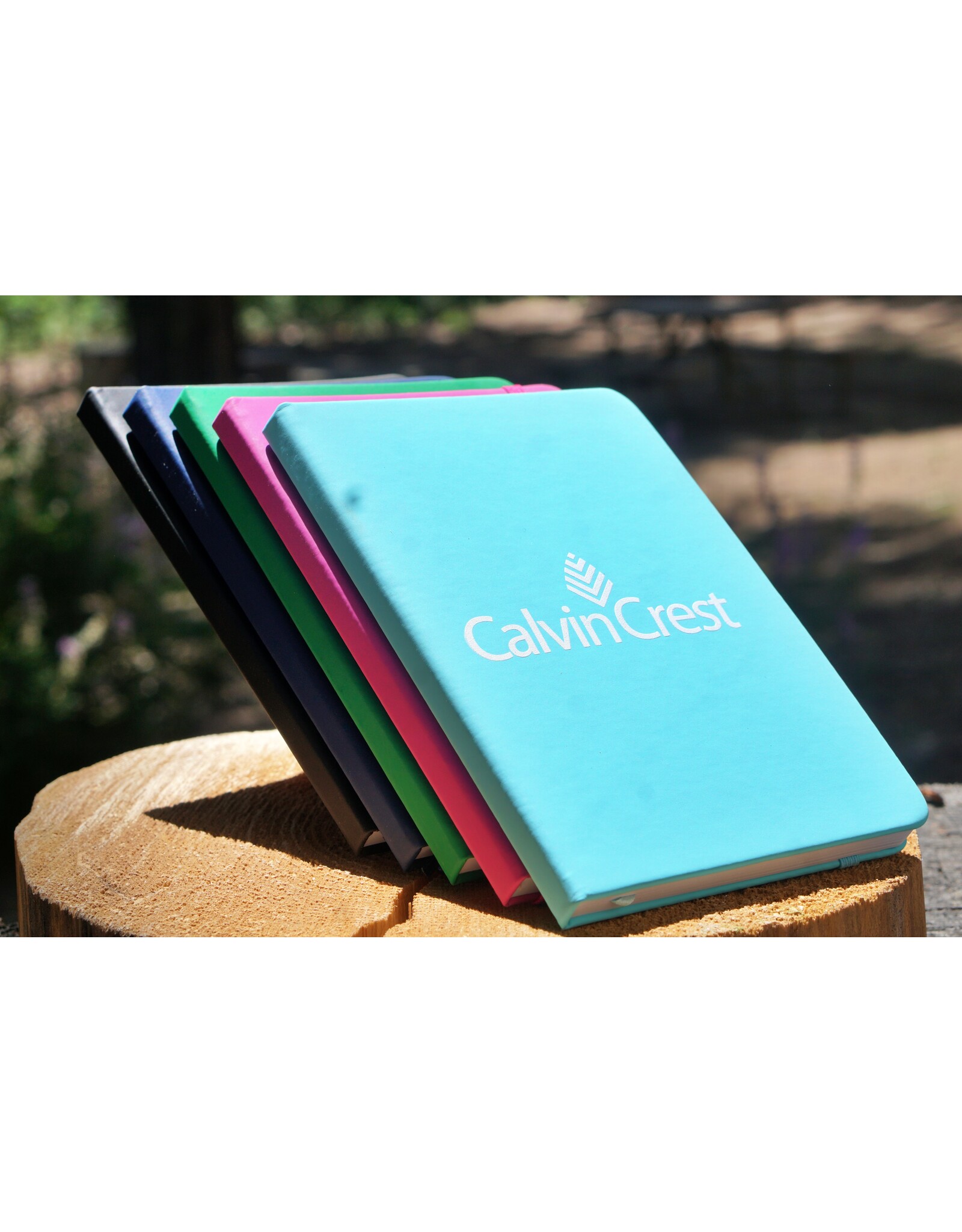 Journal