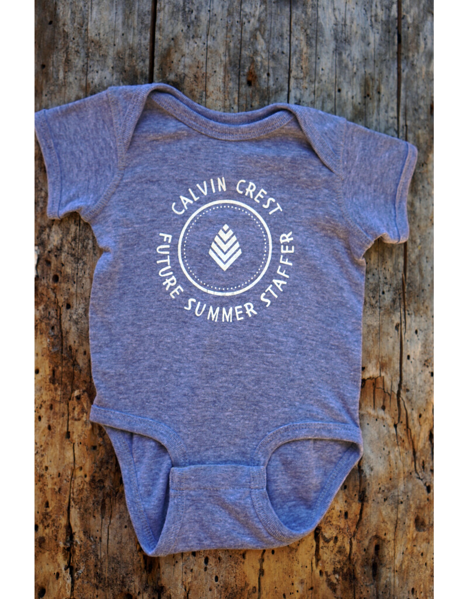 Baby Onesie