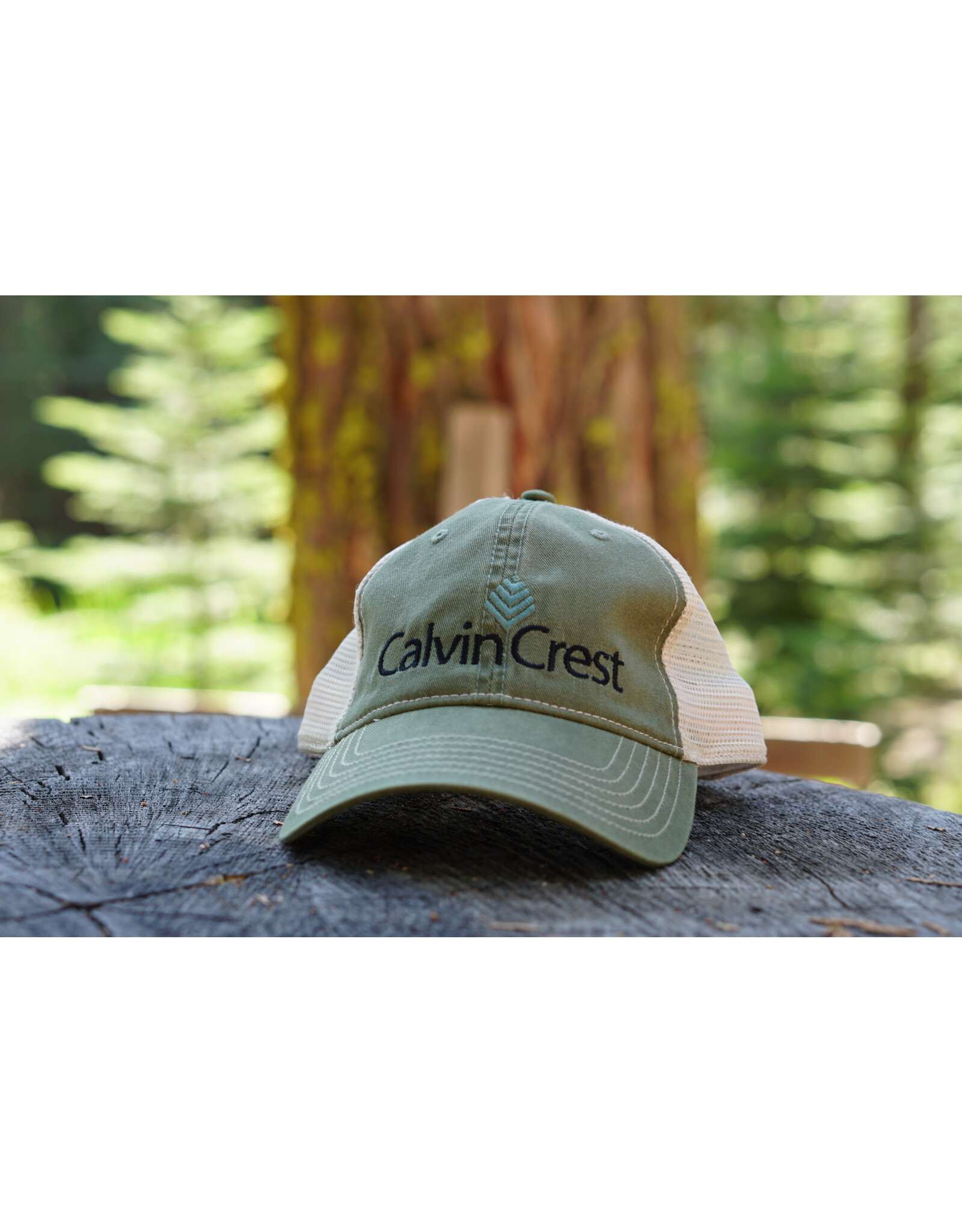 Baseball Hat - Stone Washed