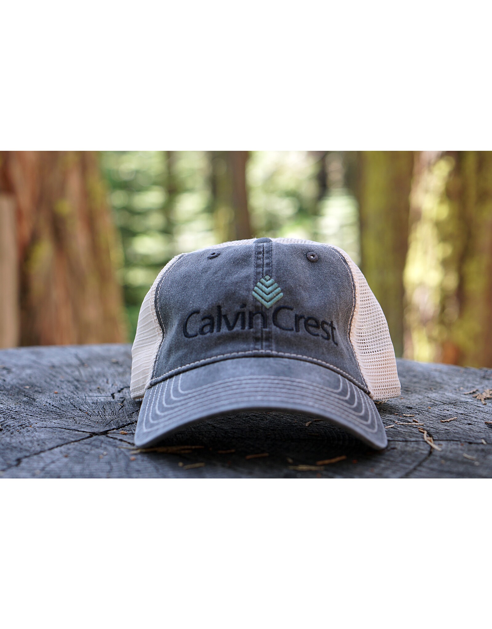 Baseball Hat - Stone Washed