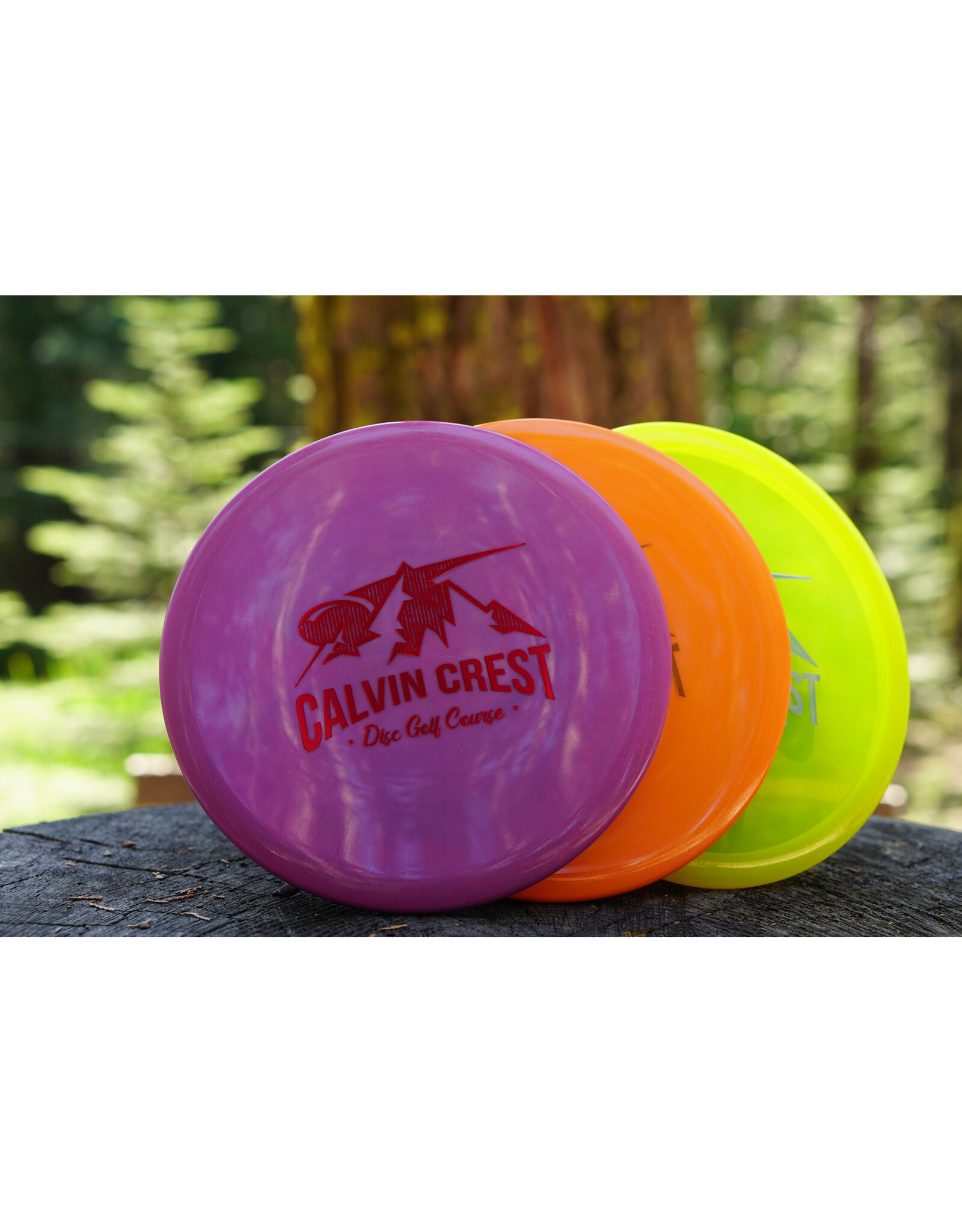 Disc