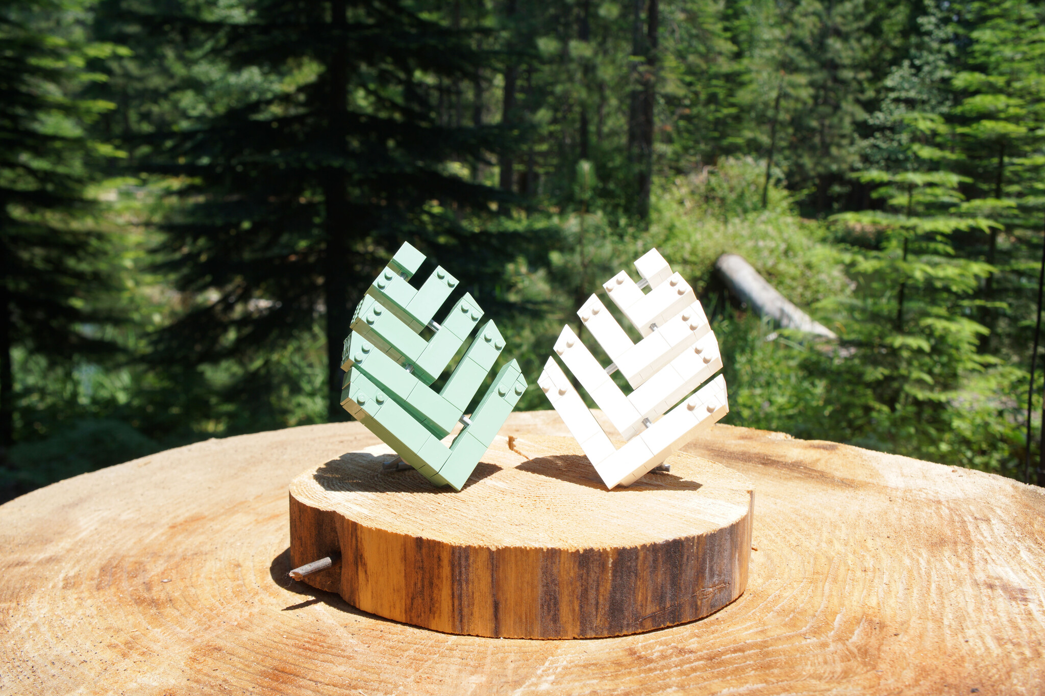 Pinecone Building Sets