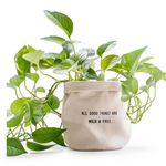 Sugarboo & Co Large Canvas Planter, All Good Things Are Wild...