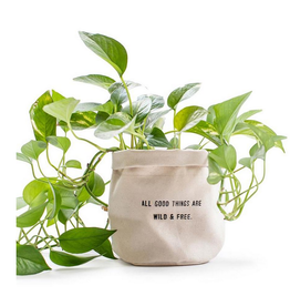 Sugarboo & Co Large Canvas Planter, All Good Things Are Wild...