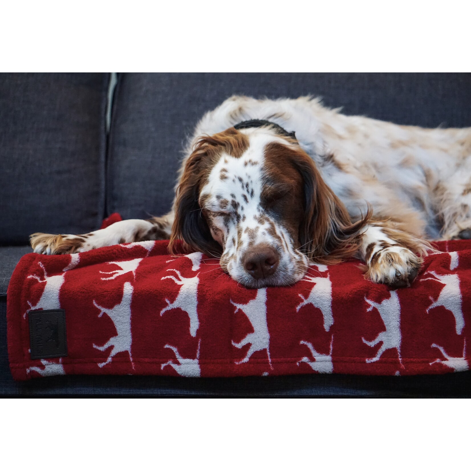 Tall Tails Fleece Dog Blanket 30x40 Red Icon