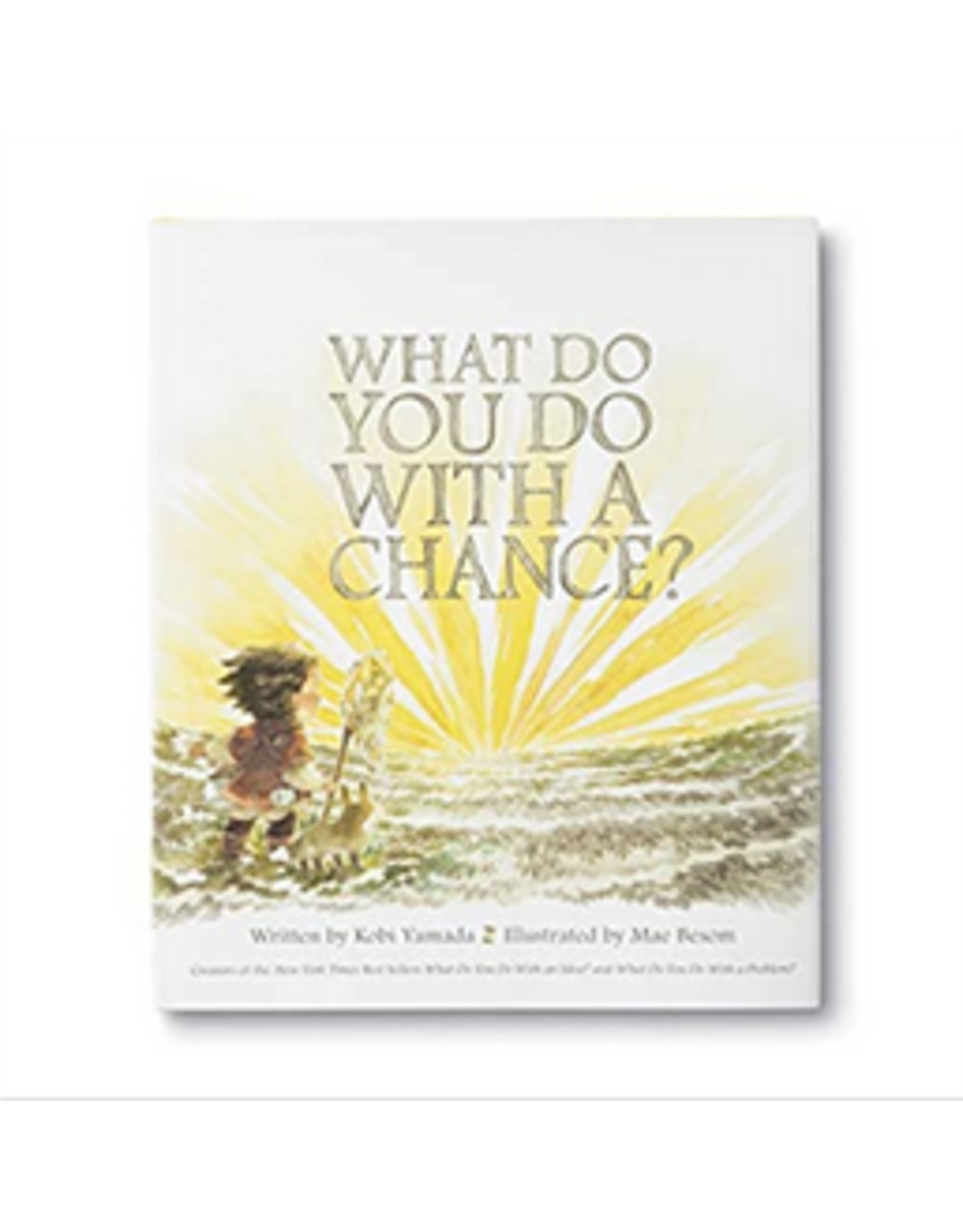 What Do You Do with a Chance Book