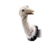 Folkmanis Puppets Ostrich Stage Puppet