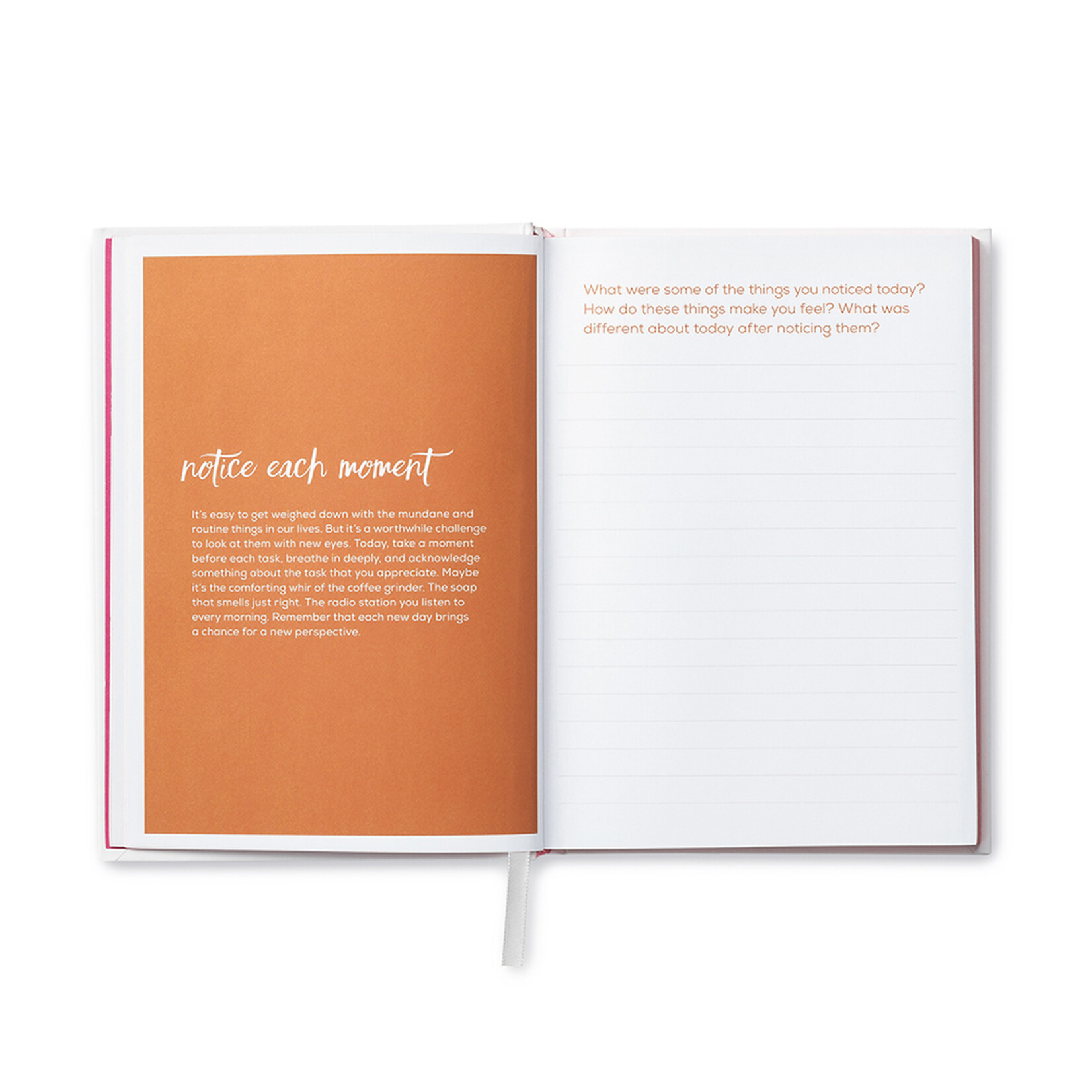 Compendium, Inc. Finding Gratitude Journal