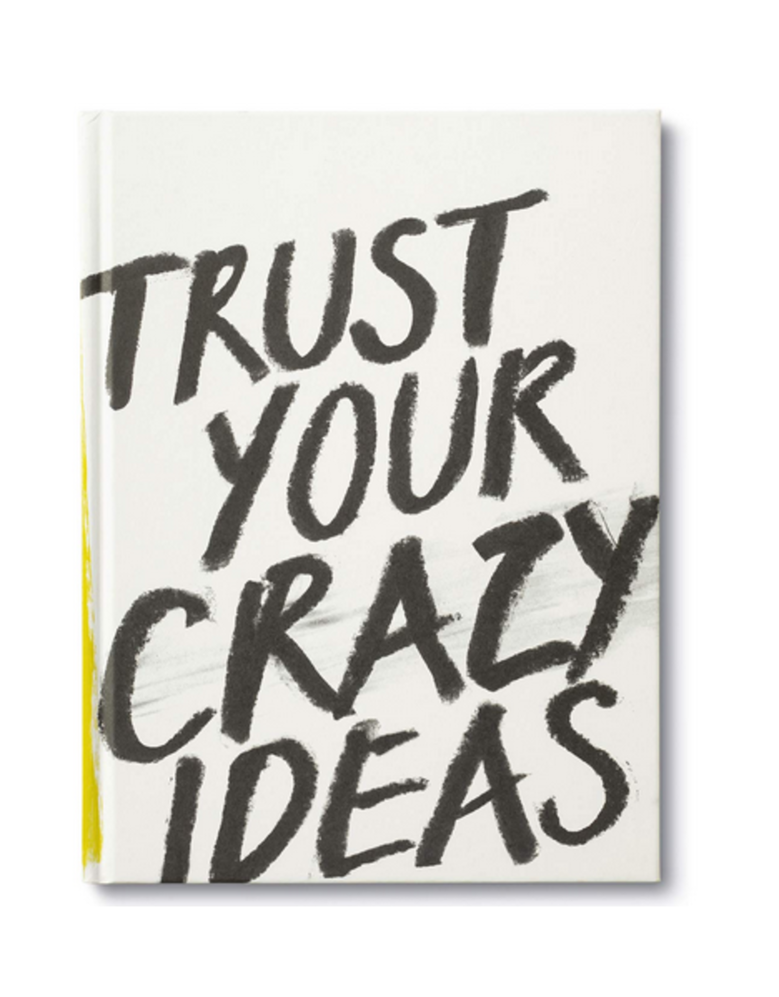 Compendium, Inc. Book, Trust Your Crazy Ideas