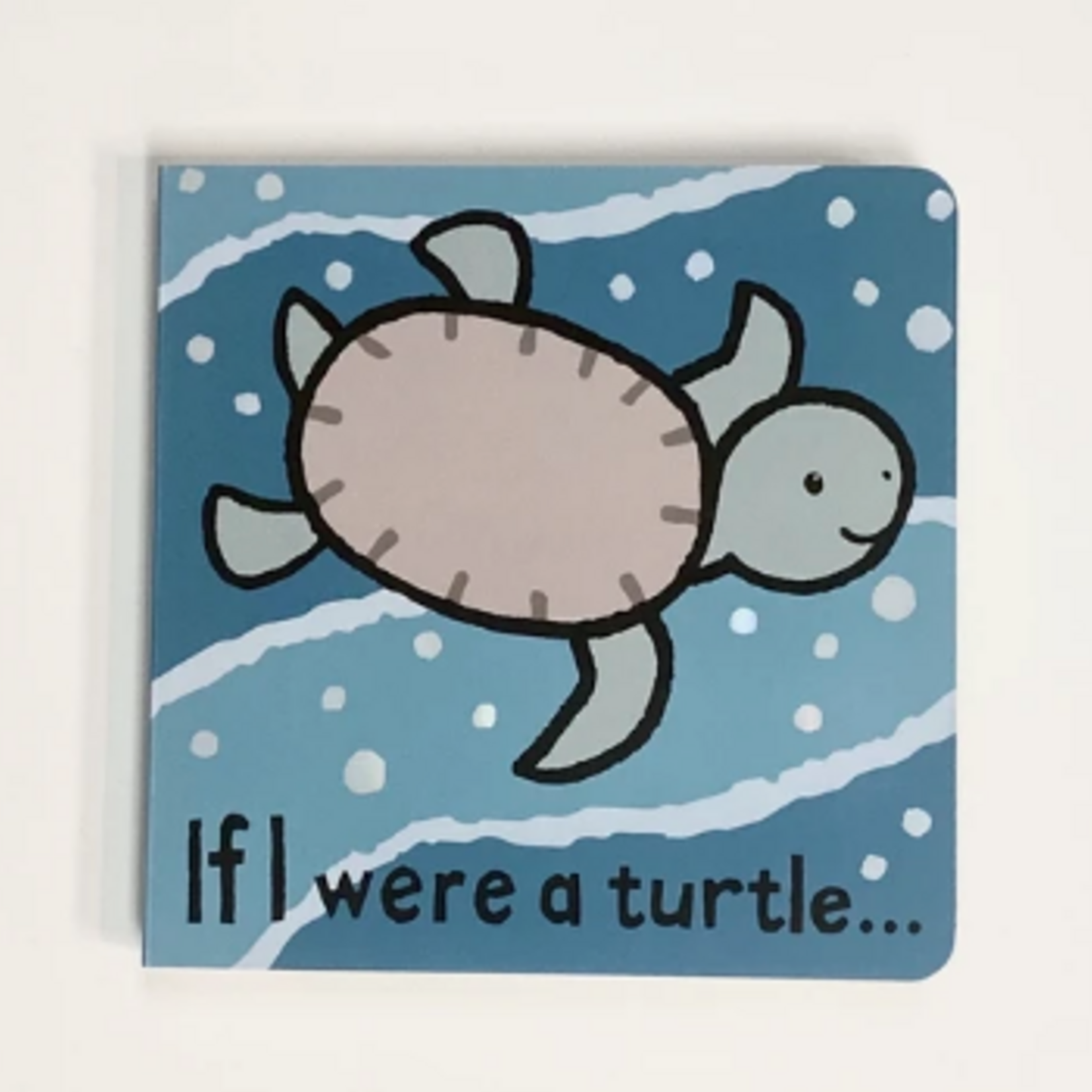 Book, If I Were A Turtle