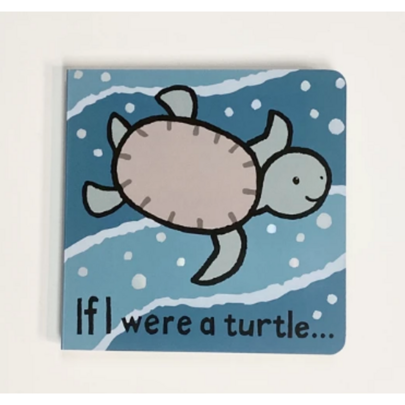 Book, If I Were A Turtle