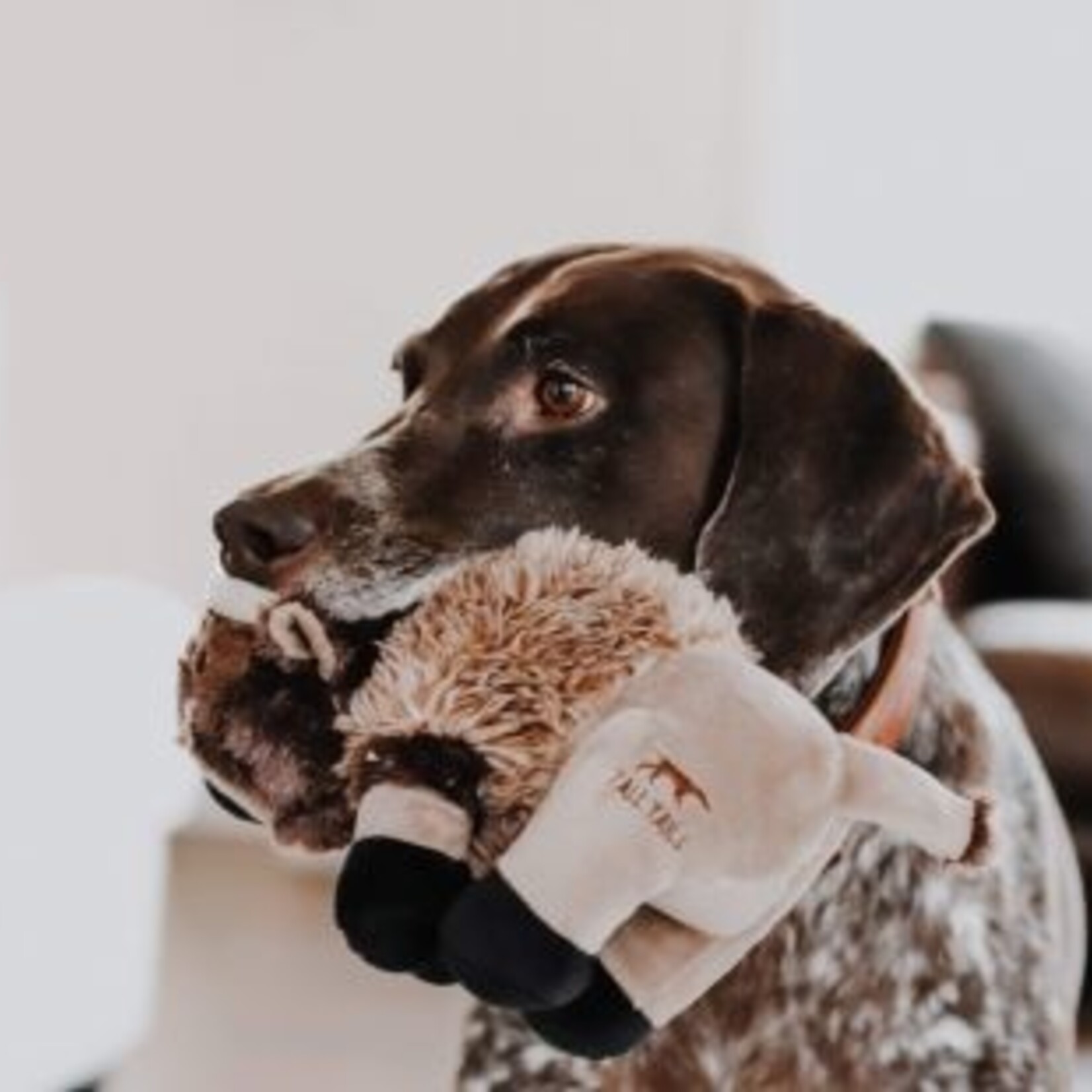 Tall Tails 9" Plush Buffalo Toy