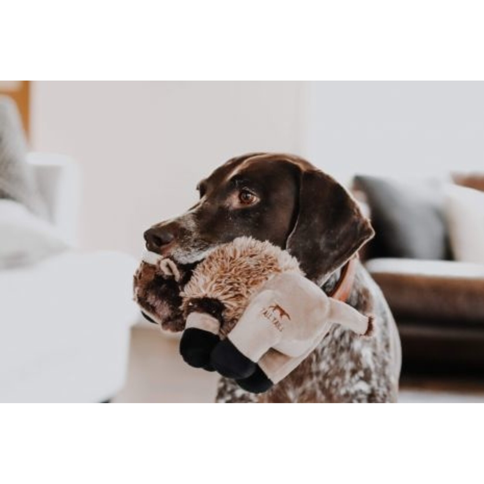 Tall Tails 9" Plush Buffalo Toy