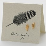 Natural History Feather E/R - gold