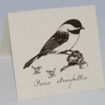 Natural History Chickadee Post E/R - ss