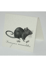 Natural History Mouse E/R - ss