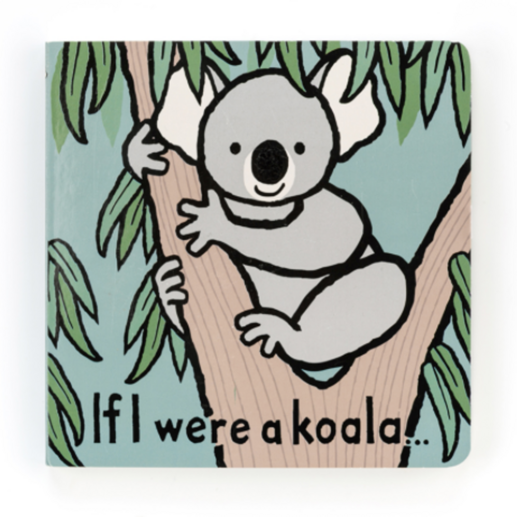 Book, If I Were a Koala