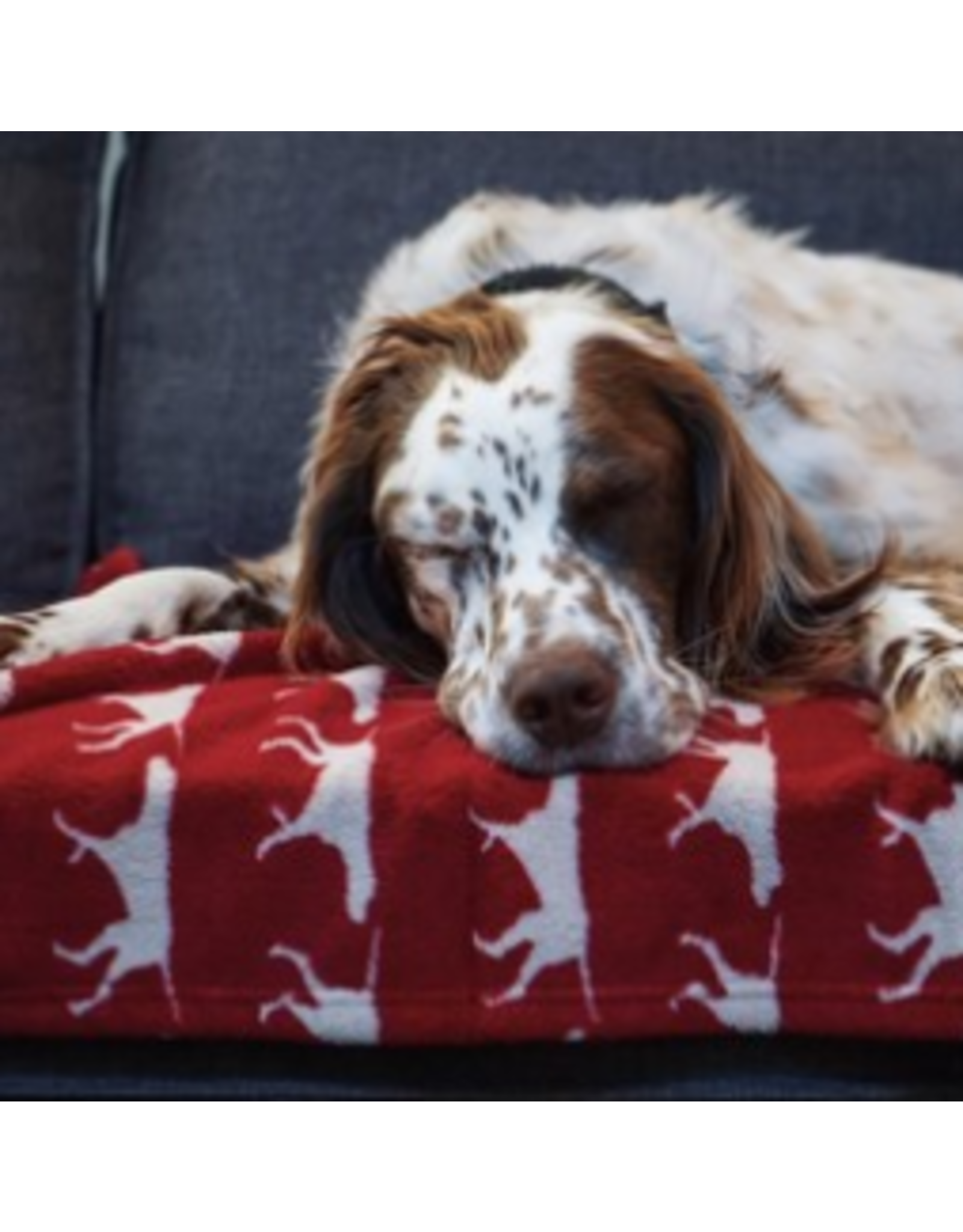 Tall Tails Fleece Dog Blanket 30x40 Red Icon