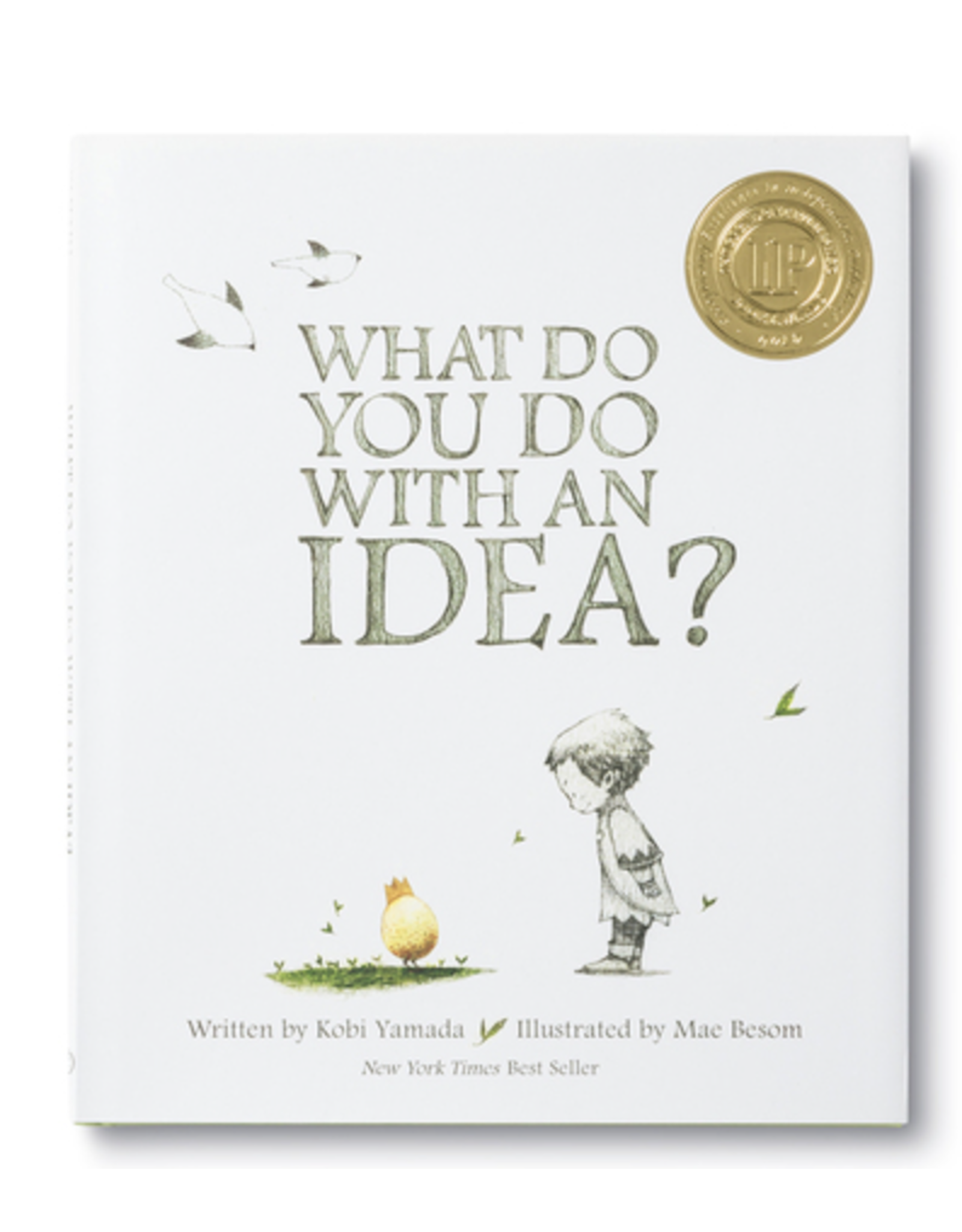 Compendium, Inc. What Do You Do With An Idea book