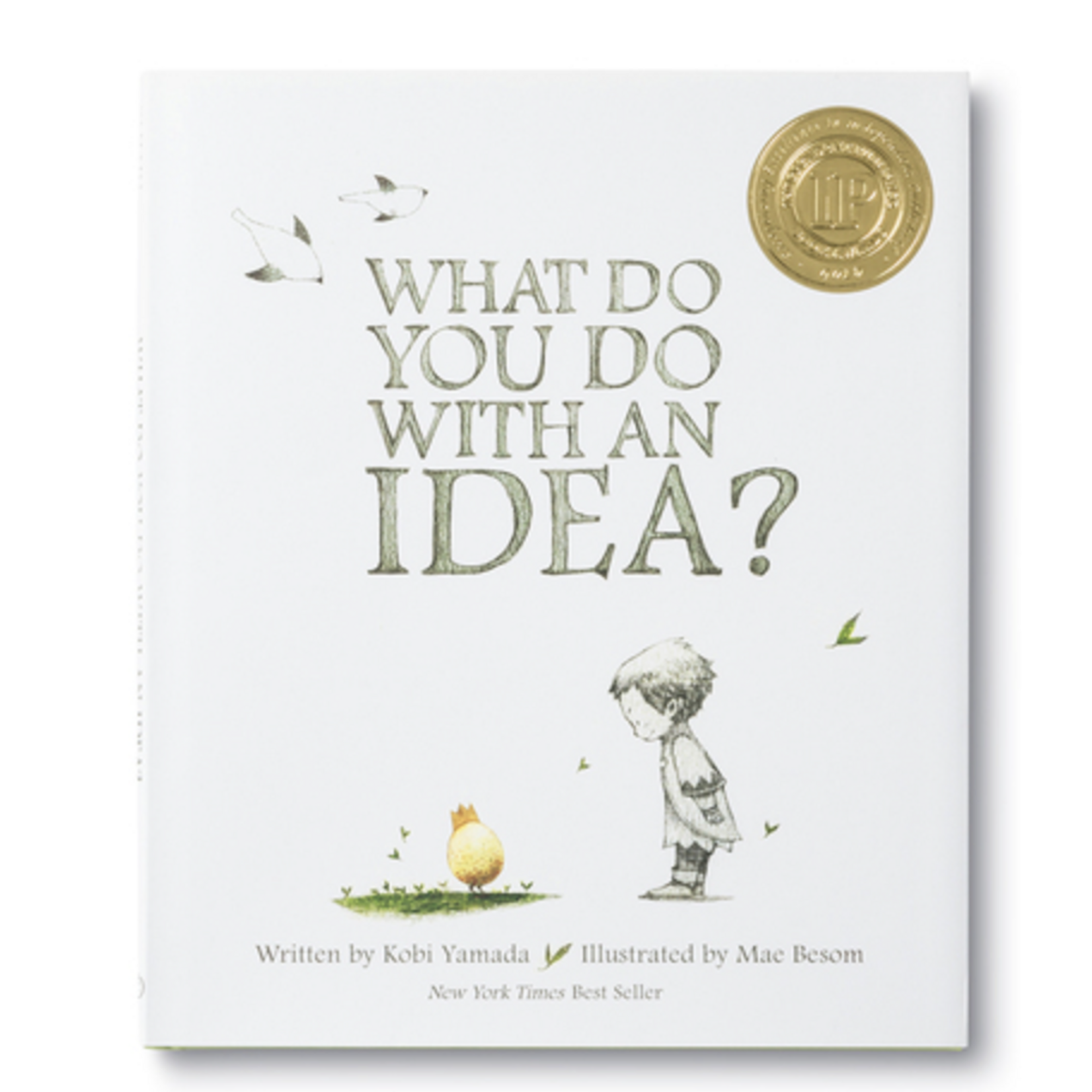 What Do You Do With An Idea book