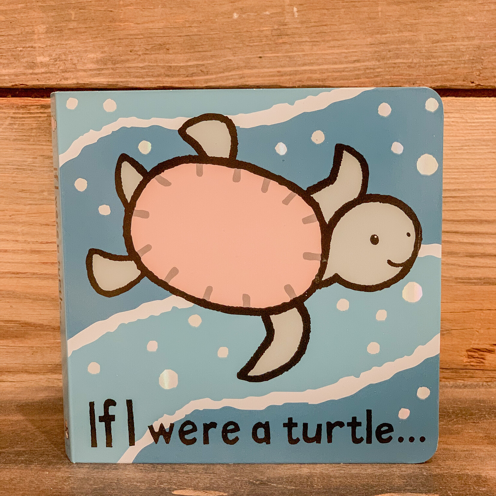 Book, If I Were A Turtle