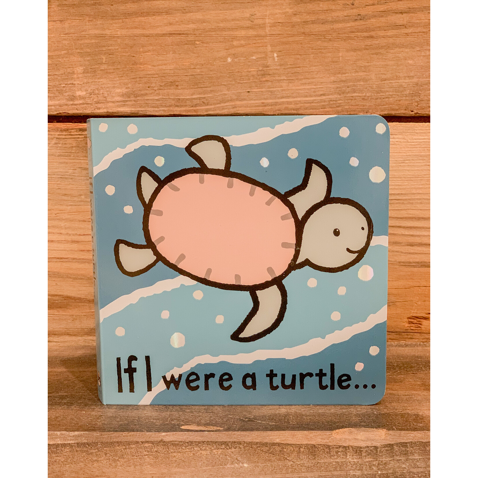 Book, If I Were A Turtle