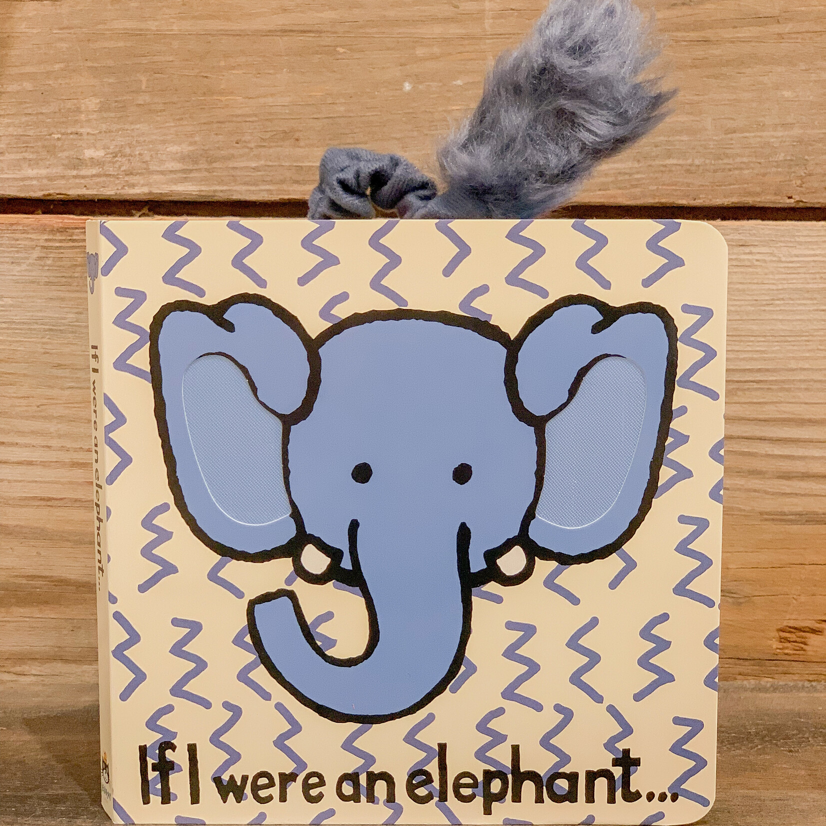 Book, If I Were An Elephant