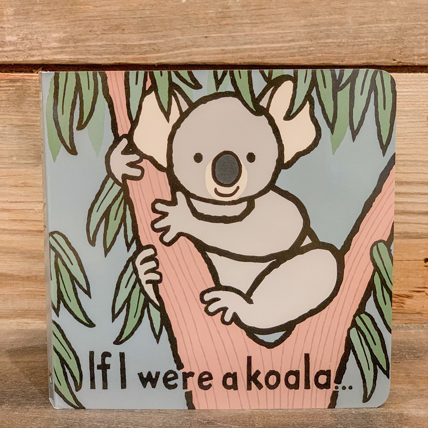 Book, If I Were a Koala