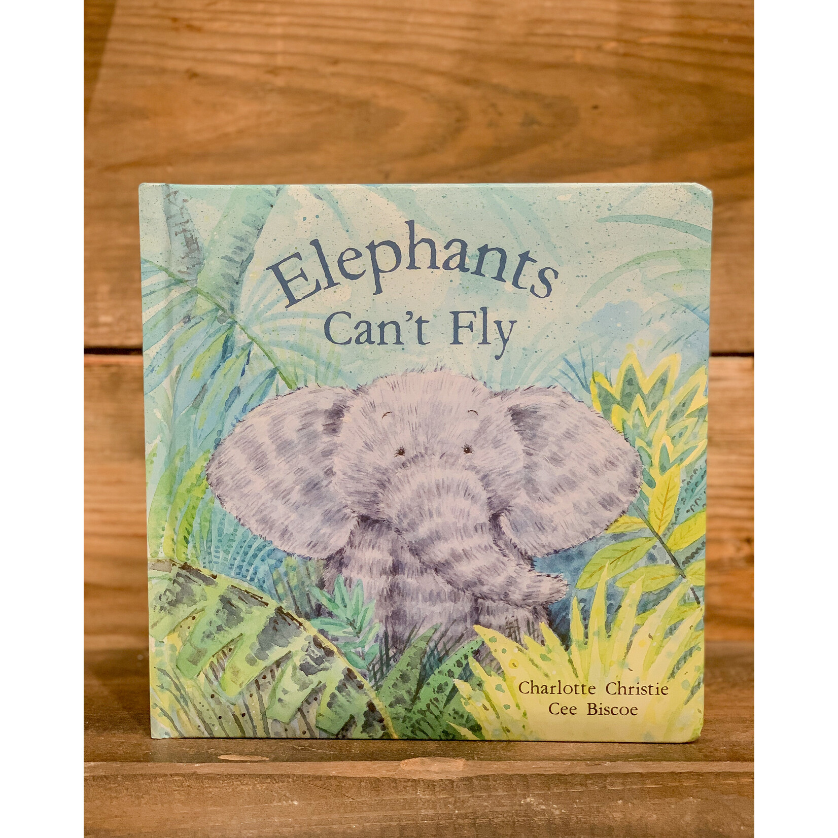 Book, Elephants Can't Fly