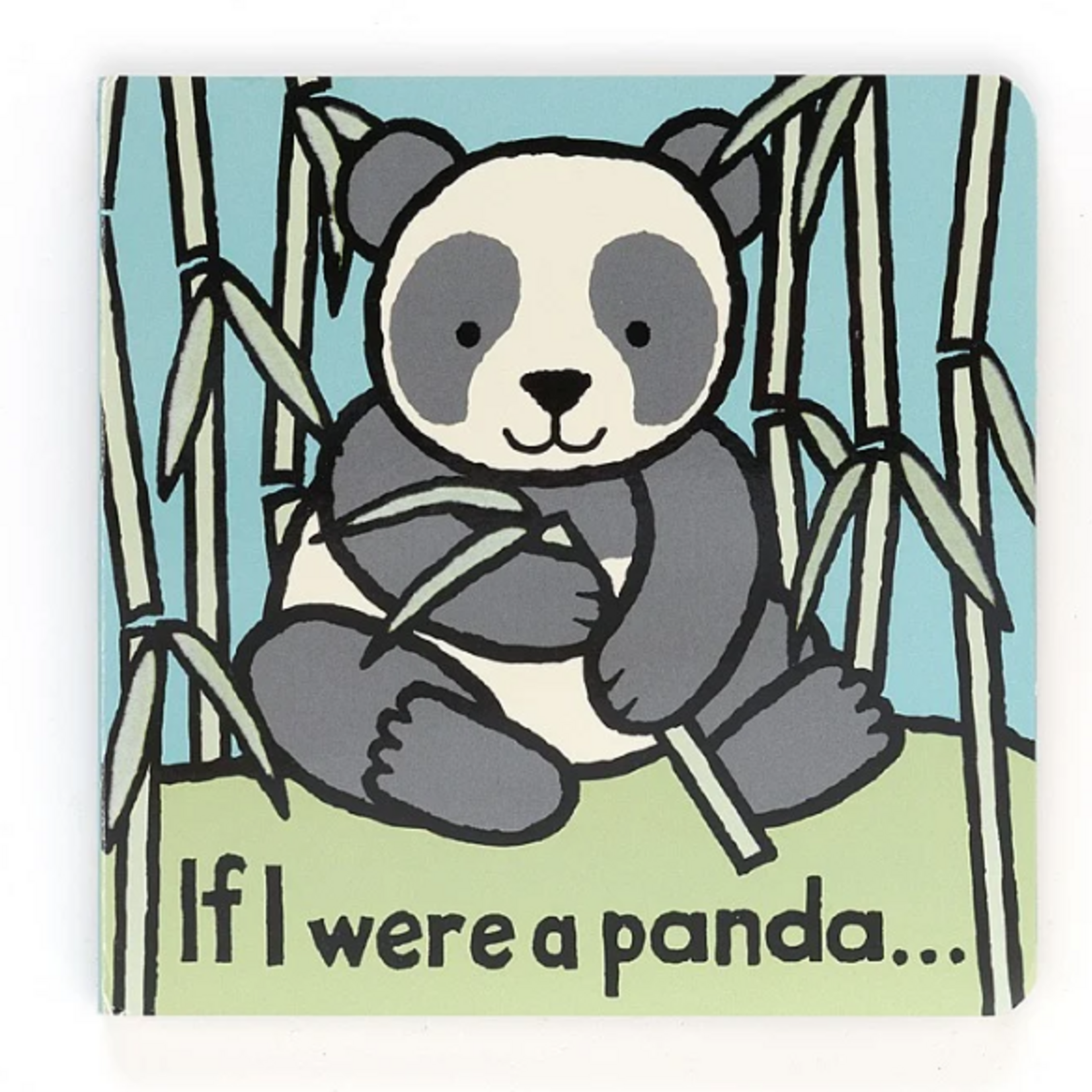 Book, If I Were A Panda