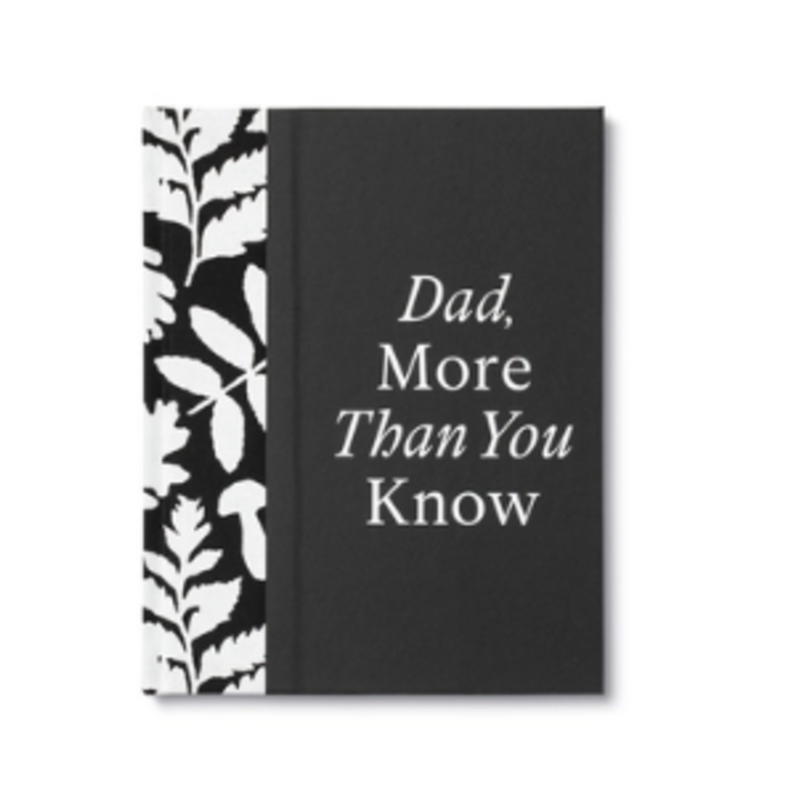 Book - Dad, More Than You Know
