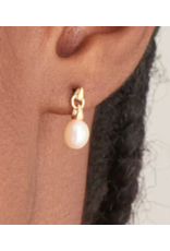 Ania Haie Ania Haie Pearl Power Drop Stud Earrings, gold