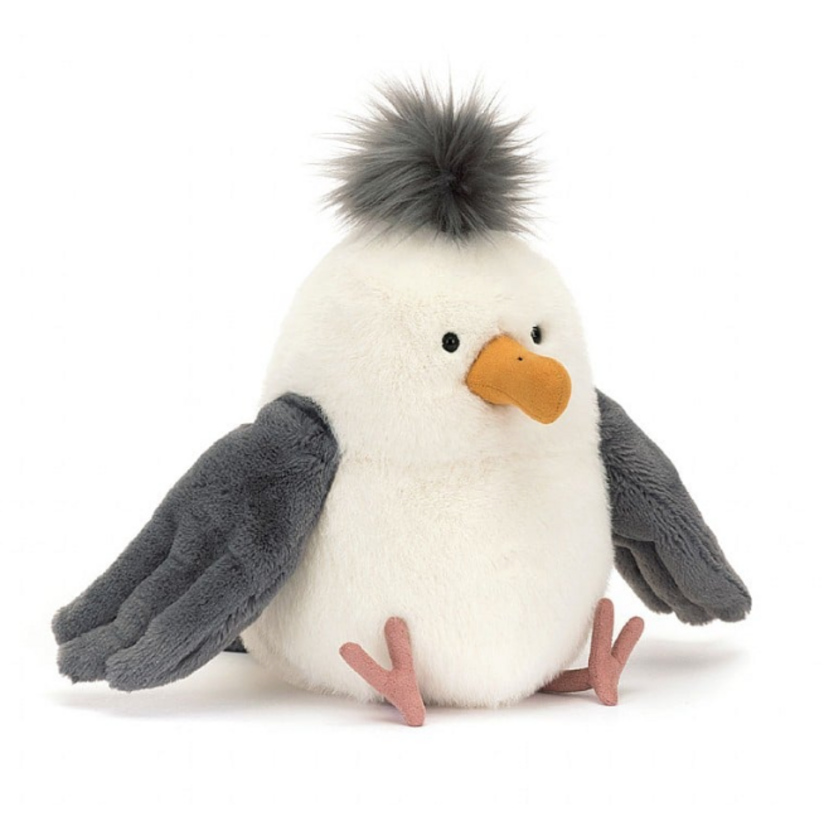 Chip Seagull