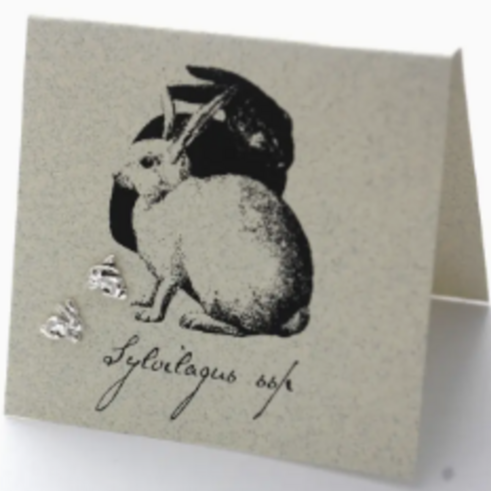 Natural History Rabbit Post E/R - ss