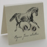 Natural History Cowboy Hat Stud E/R - ss