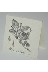 Natural History Leaf Post E/R - ss