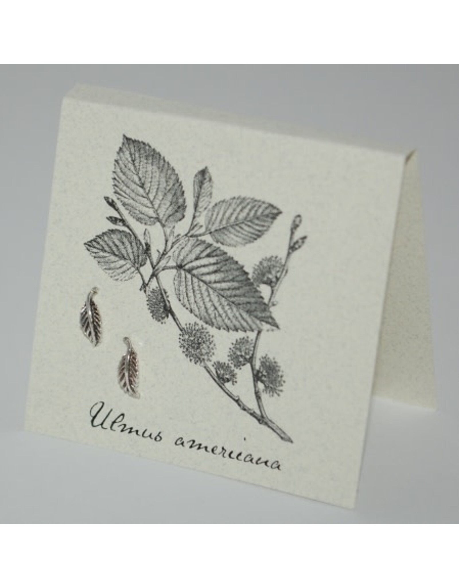Natural History Leaf Post E/R - ss