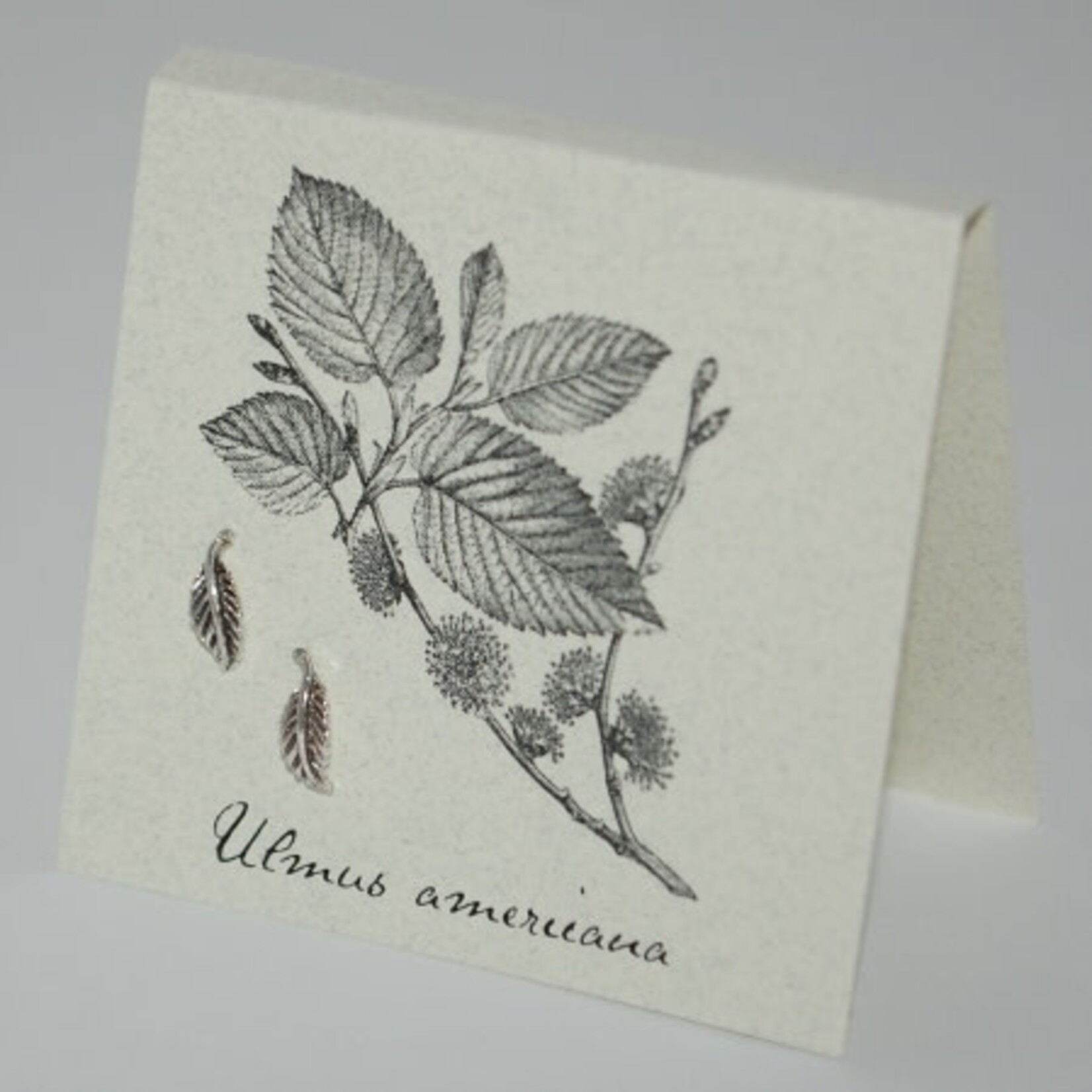 Natural History Leaf Post E/R - ss