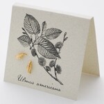 Natural History Leaf Post E/R - gold