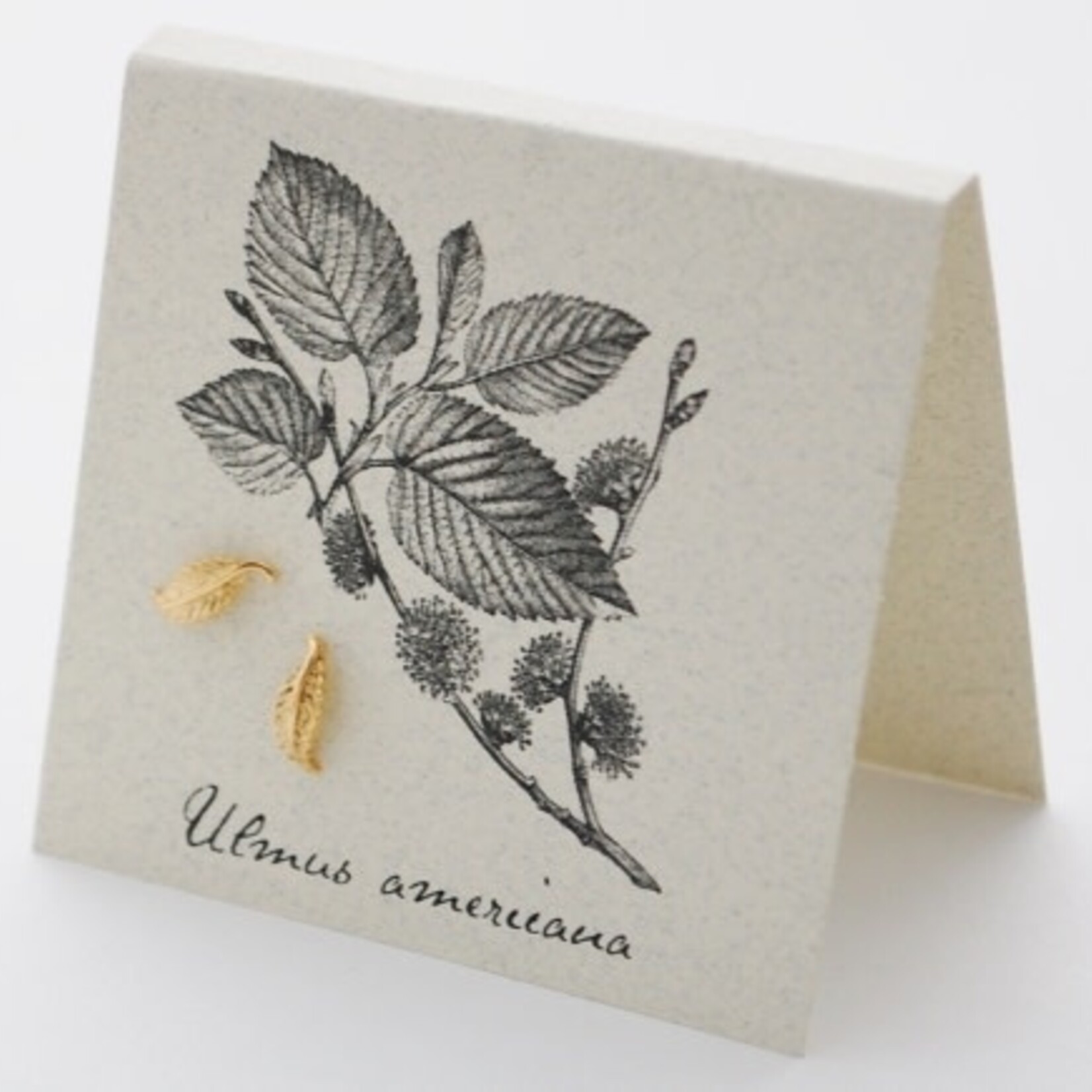 Natural History Leaf Post E/R - gold