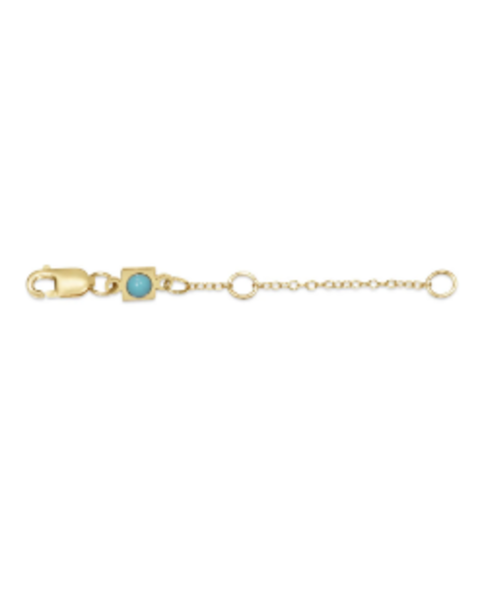 enewton EN: 2" Necklace Extender, gold