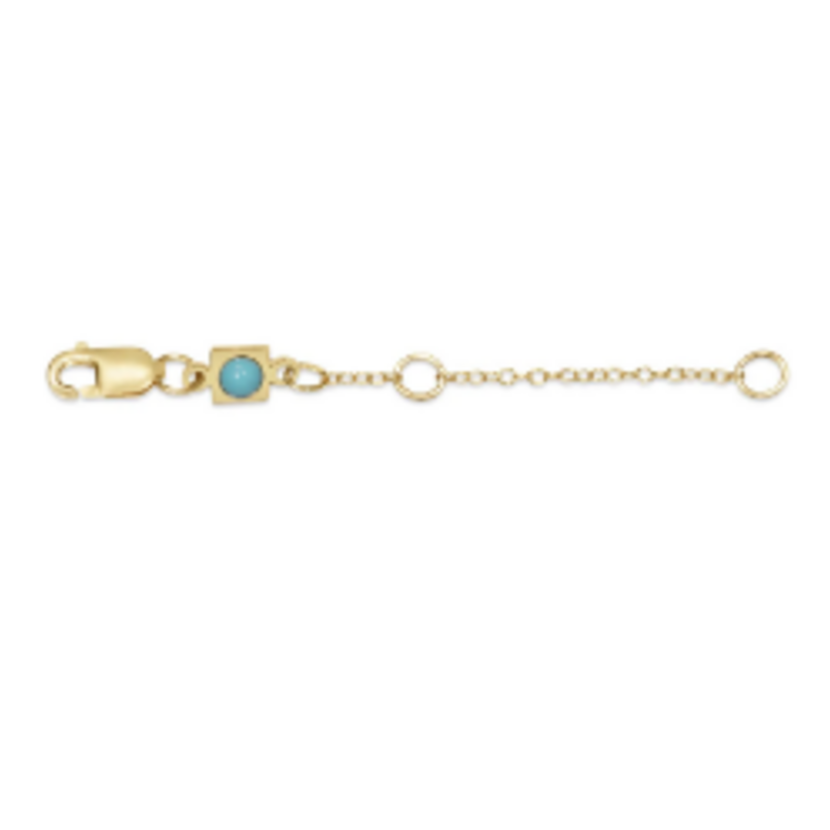enewton EN: 2" Necklace Extender, gold