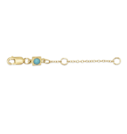 enewton EN: 2" Necklace Extender, gold