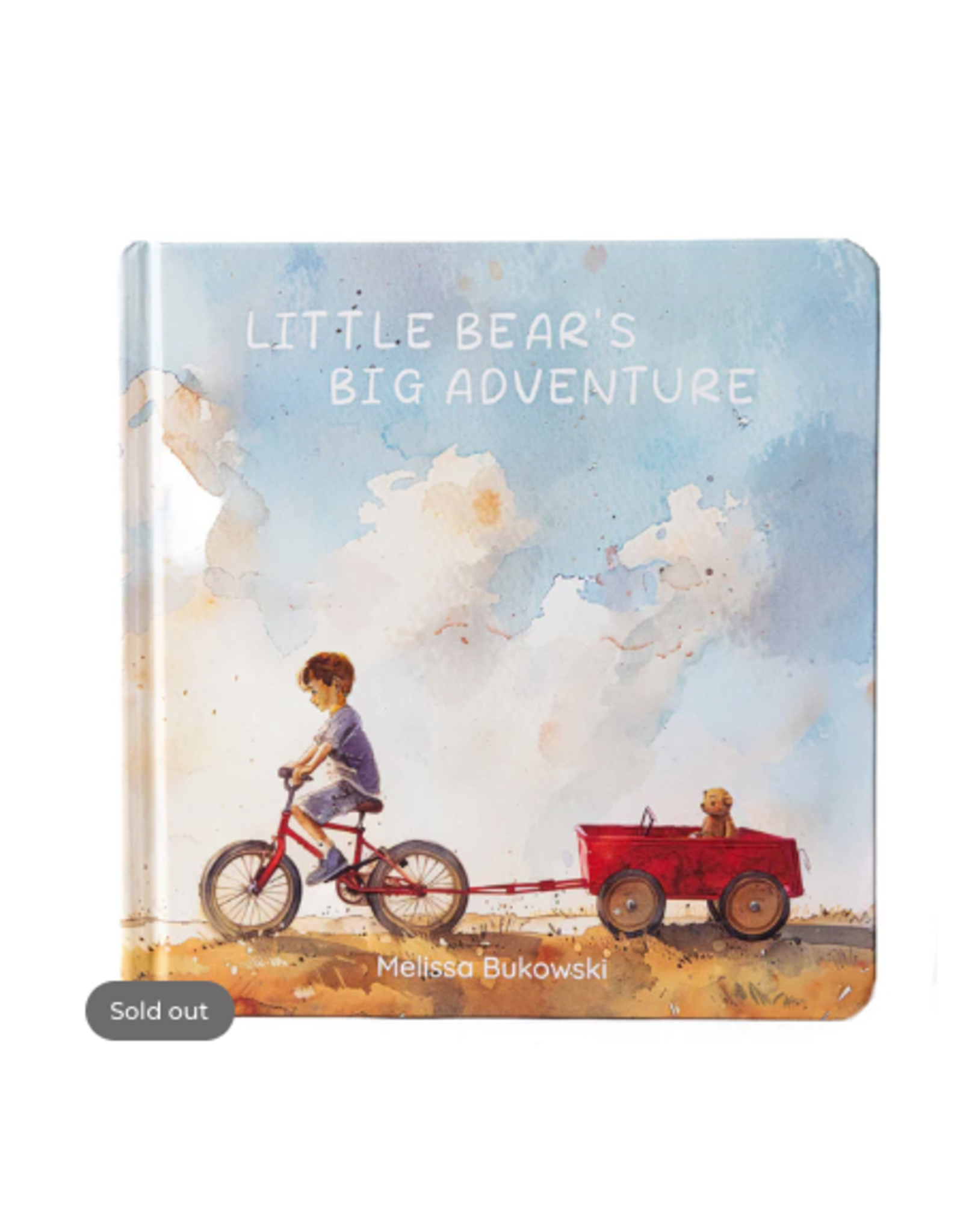 Bukowski Bears Little Bear's Big Adventure Book