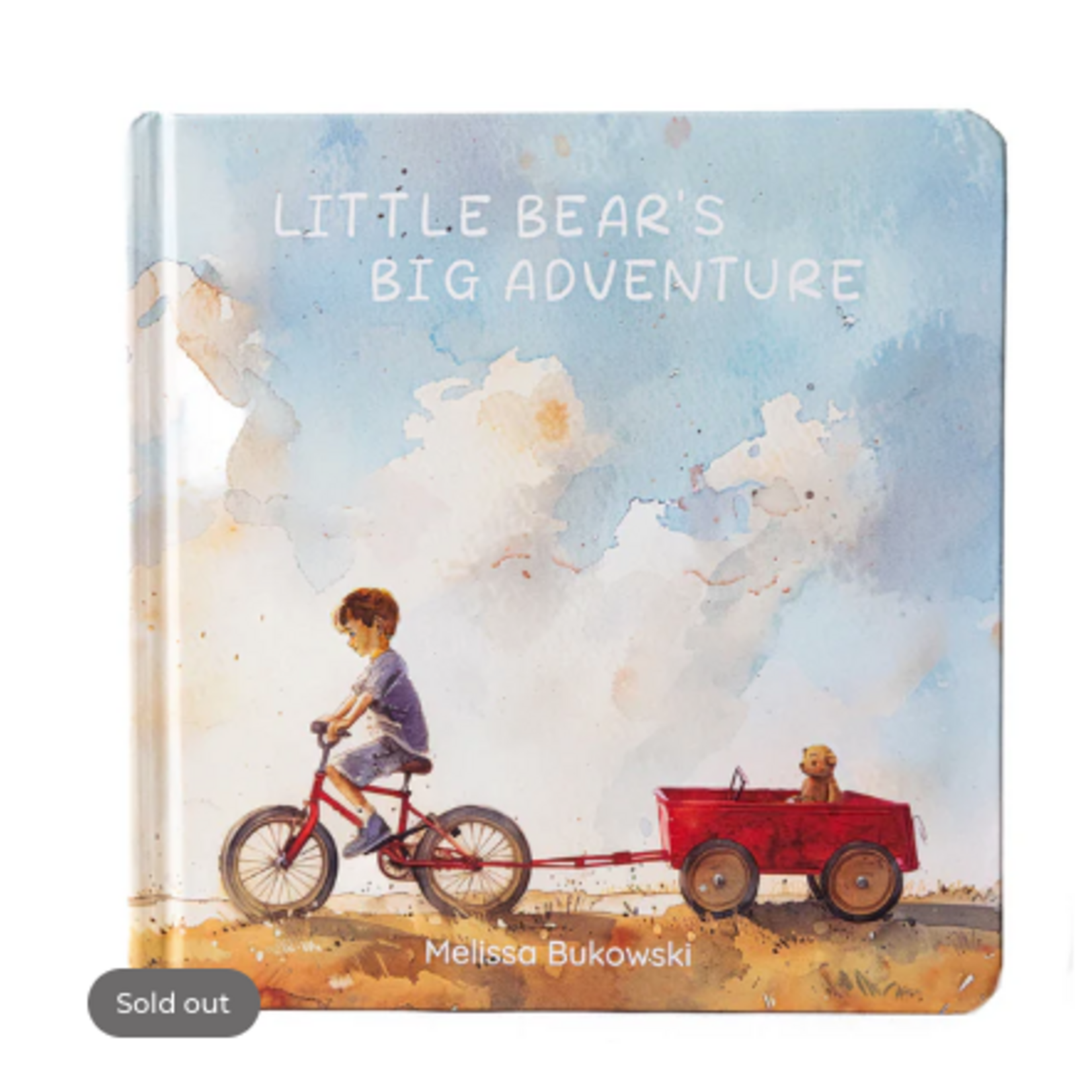 Bukowski Bears Little Bear's Big Adventure Book