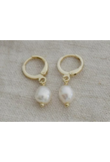 Glee Bitsy Hoops, gold/white pearl