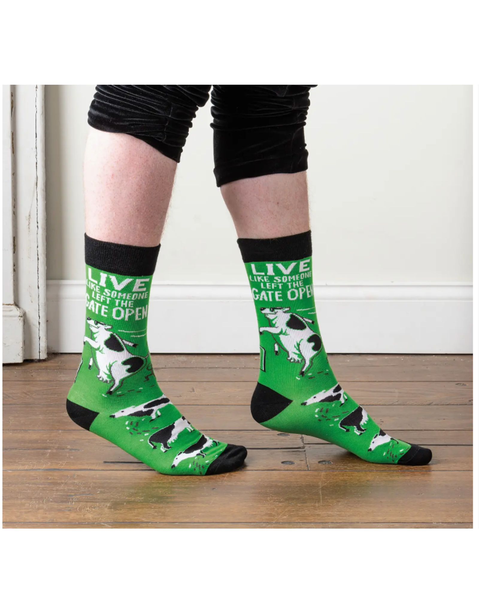 Primitives by Kathy Socks-Live Like Someone
